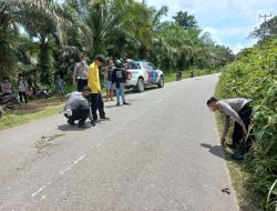 Kecelakaan Sepeda Motor di Keranji Mancal, Landak Telan Korban Jiwa