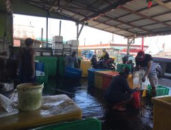 Cuaca Ekstrem, Hasil Tangkap Ikan Nelayan di Sungai Kakap Menurun Drastis