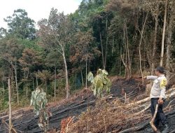 Terdeteksi Tiga Titik Api di Sengah Temila, Pak Bhabin Turun Cek Lokasi