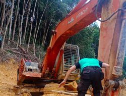 SAR Cari Puluhan Korban Tanah Longsor PETI di Bengkayang