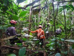 Pergi Cari Kayu Bakar di Hutan, Seorang Lansia di Kubu Raya Belum Kembali