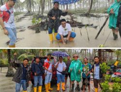 Abrasi kian Parah, PT BAI Kembali Tanam 6.000 Mangrove di Pesisir Kelurahan Tanjung Mempawah