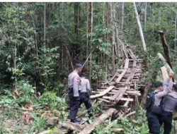 Polisi di Bengkayang Gencar Patroli, Cegah Pembalakan Hutan Lindung