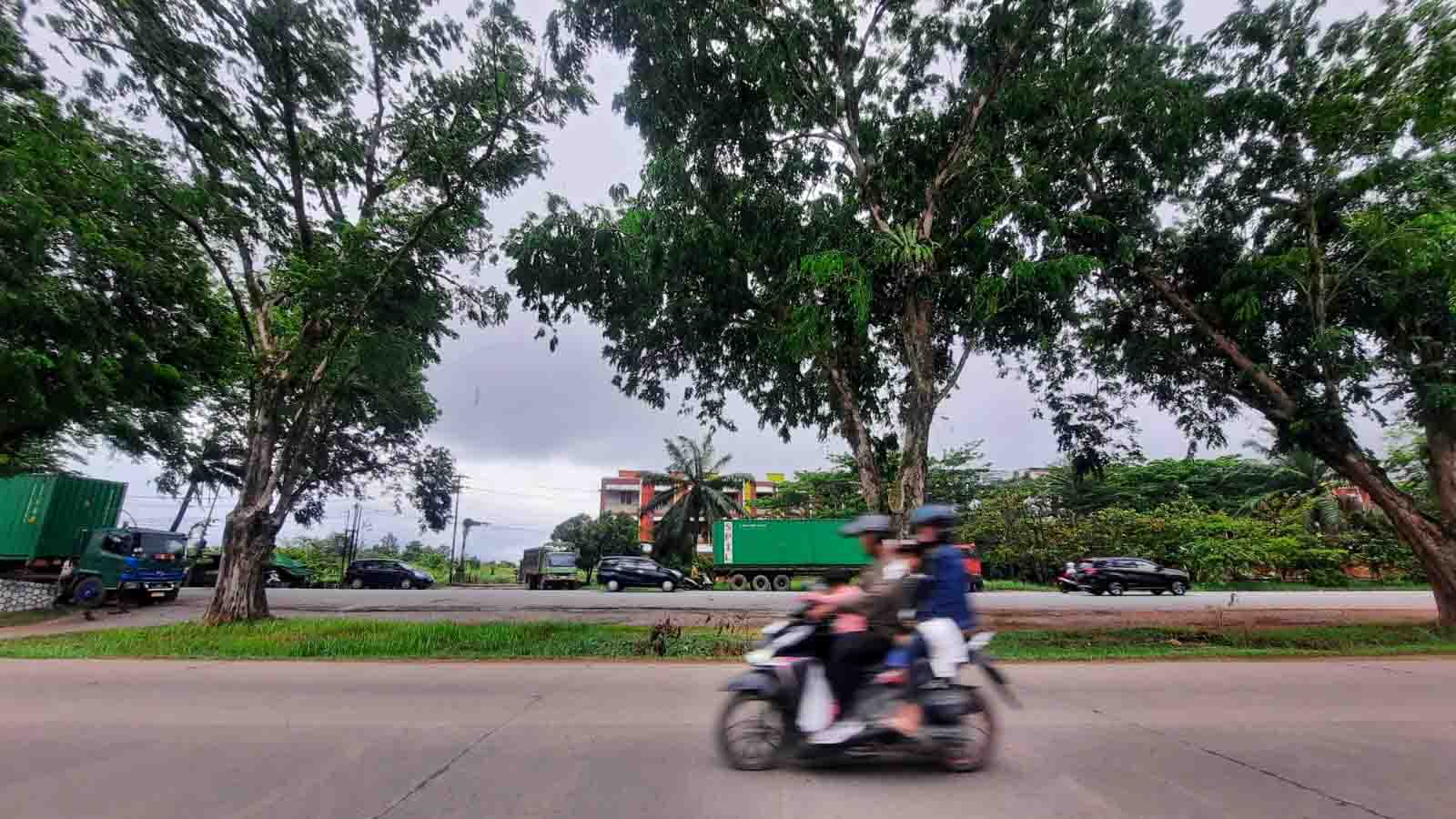 Pengendara melintas di Jalan Sultan Hamid, Pontianak Timur, Minggu (12/2/2023). Sejumlah Pohon tampak menjulang tinggi yang berada di pinggir Jalan itu sangat mengkhawatirkan. Pohon-pohon tersebut berpotensi membahayakan keselamatan pengendara atau pengguna jalan yang melintas di jalan tersebut apalagi saat musim hujan diserta angin kencang.[Suarakalbar.co.id/ Diko Eno]