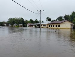 Desa Sempurna Sungai Laur Ketapang Teredam Banjir, Warga: Sudah 3 Hari