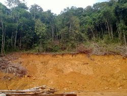 Pengerukan di Bukit Punai Jaya Durian Sebatang, Kadis Perkim KKU Sebut Belum Ada Penjelasan Resmi dari Kades