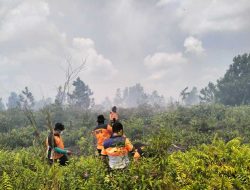 15 Titik Api terdeteksi di Kalbar, Modifikasi Cuaca Terus Dilakukan