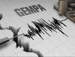 BMKG: Gempa Magnitudo 5,2 Guncang Utara Kabupaten Jayapura