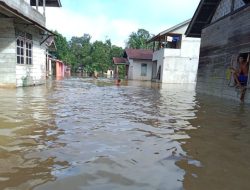 Banjir di Landak: 1.242 Warga Terdampak, Satgas BPBD Lakukan Asesmen