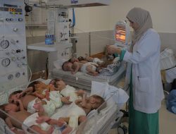 Konflik Gaza Palestina-Israel, Nakes Evakuasi Bayi Prematur