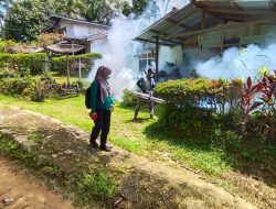 Dinkes Sanggau Mulai Fogging Fokus di Wilayah Penyebaran Kasus DBD