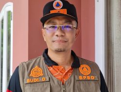 DBD di Kabupaten Sanggau Capai Angka 342 Kasus