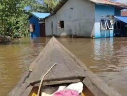 Banjir Melanda Sandai Ketapang, 2.344 Rumah Terendam