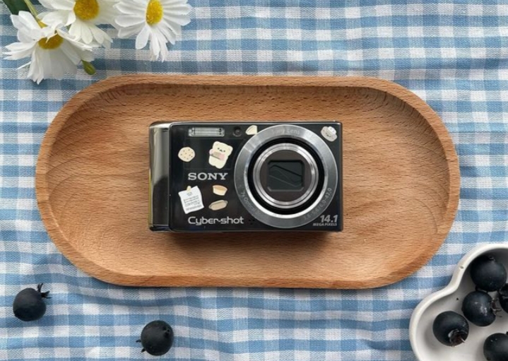 Sony Lytia LYT-900/(instagram/@digi.blitz)