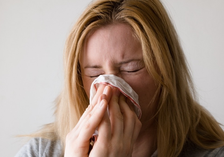 Atasi Hidung Tersumbat/(ilustrasi/@Pixabay)