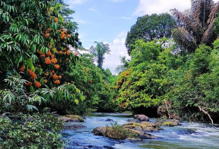 Keindahan Lok Laga, Destinasi Memukau Kalimantan Selatan/(instagram/@visithst)