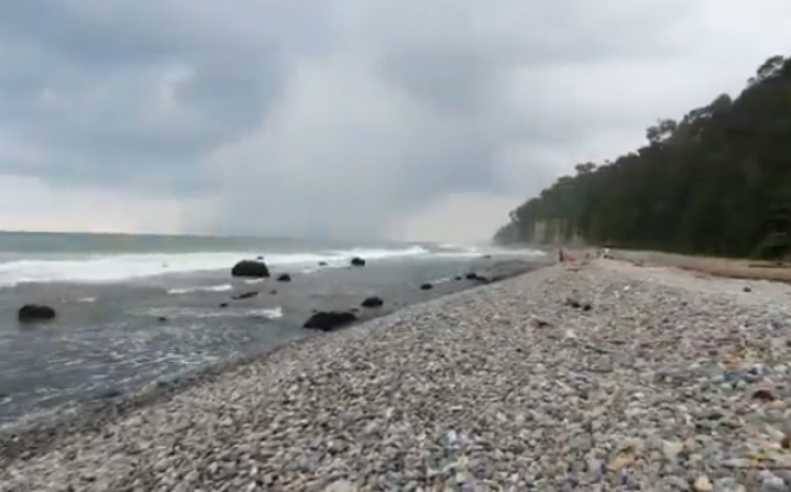 Pantai Tanjung Kemuning Kalimantan Barat/(YouTube/@Rendi Mahesya Putra)