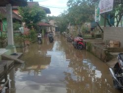 Dua Kecamatan di Landak Banjir BPBD Kalbar Dorong Pemkab Lakukan Pendataan 