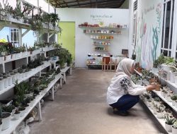 Kisah Sukses Riko di Balik Bisnis Tanaman Kaktus di Pontianak