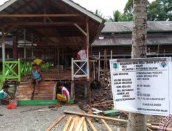 54 Rumah Betang Suku Dayak di Kapuas Hulu Jadi Lokasi TPS  Pemilu 2024