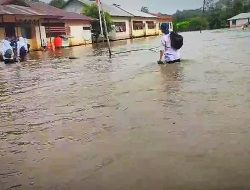 Banjir Rendam Desa Sempurna Ketapang, Air Nyaris Capai Dua Meter