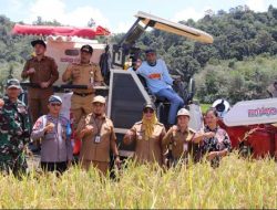 Bupati Mempawah Erlina Serahkan Combine Harvester untuk Poktan Pelita 1 Desa Benuang Toho