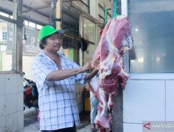 Dinas Pangan Pastikan Ketersediaan Daging Sapi di Pontianak Hingga Idul Fitri 2024