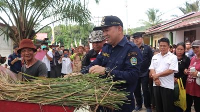 Produksi Padi di Kabupaten Landak Terus Meningkat, Terakhir Capai 281.724 Ton