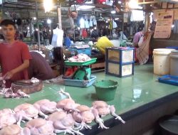 Jelang Lebaran, Permintaan Ayam Potong di Kota Pontianak Meningkat
