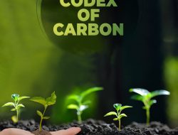 Codex of Carbon: Intesifikasi Percepatan Akselerasi Perdagangan Carbon di Indonesia