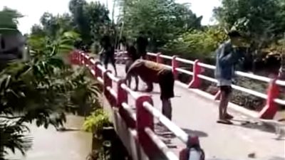 Rusak Jembatan Demi Truk Pengangkut Sound, Sembilan Orang di Demak Dipolisikan